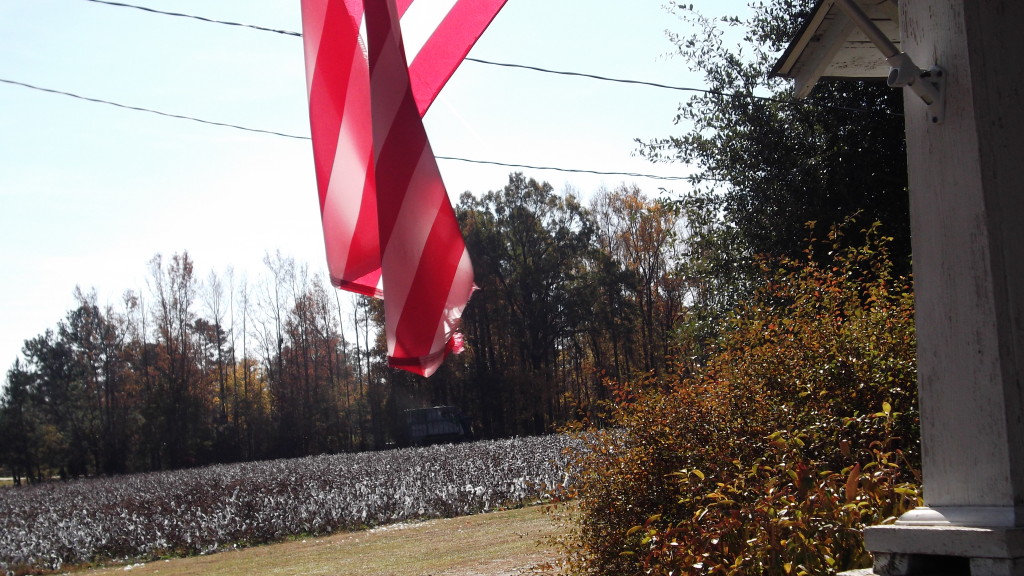 Flag and Homestead